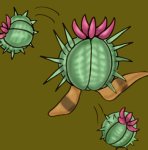 killercactus.jpg