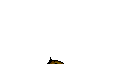 dao-frame-6.png